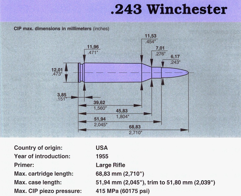 243 Winchester